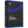 Microsoft Windows 11 Pro
